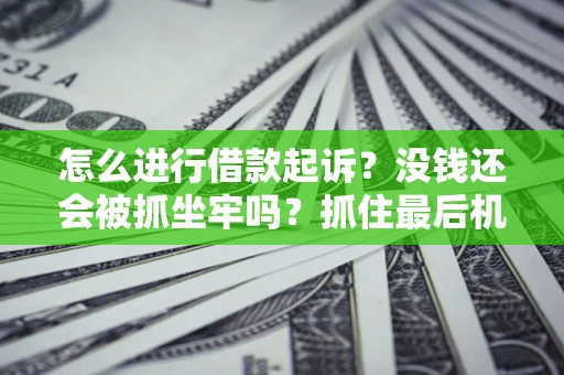 济南怎么进行借款起诉？没钱还会被抓坐牢吗？抓住最后机会！