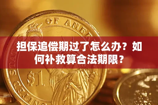 济南担保追偿期过了怎么办？如何补救算合法期限？