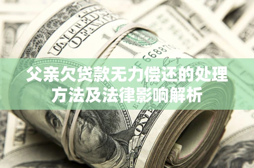 济南父亲欠贷款无力偿还的处理方法及法律影响解析